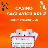 Casino Sağlayıcı Firmaları Hangileridir?